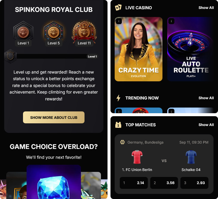 SpinKong Casino funkciók